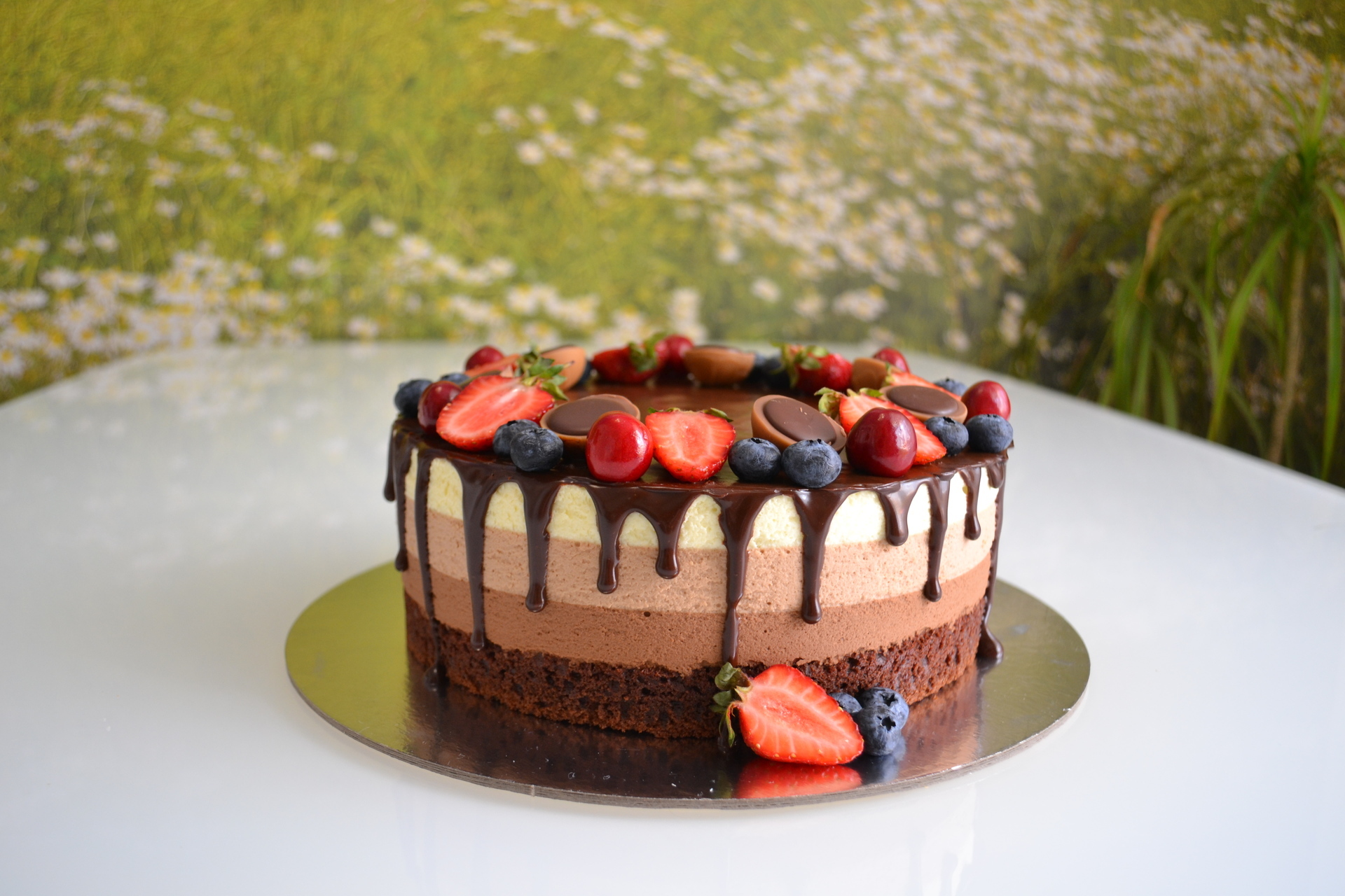 Шоколадно-муссовый торт: рецепт без выпечки, с вишней, с клубникой и др.