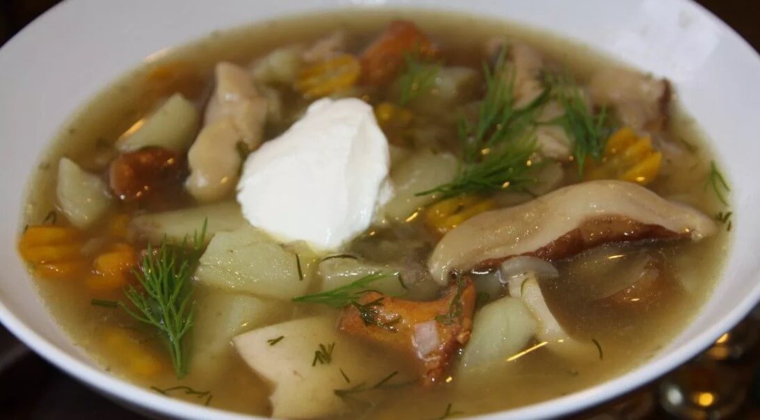 Как приготовить грибной суп из свежих грибов — 6 рецептов приготовления