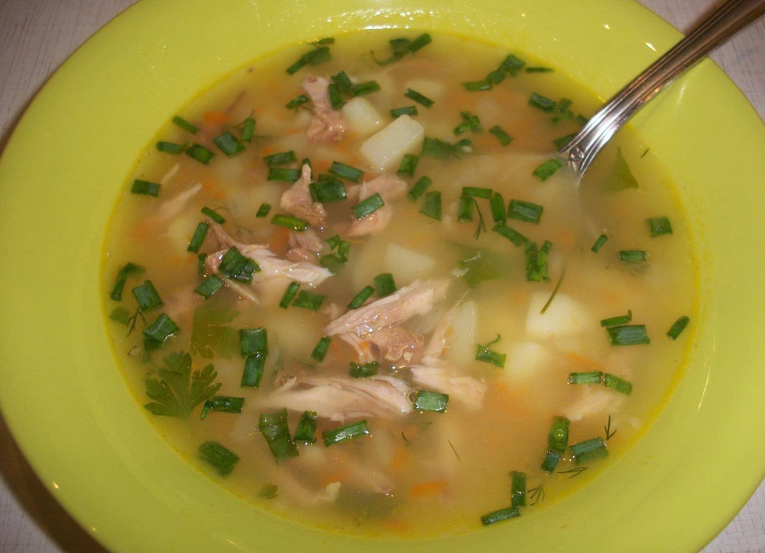 Какой суп можно сварить из свинины. фото супа со свининой и пошаговые рецепты