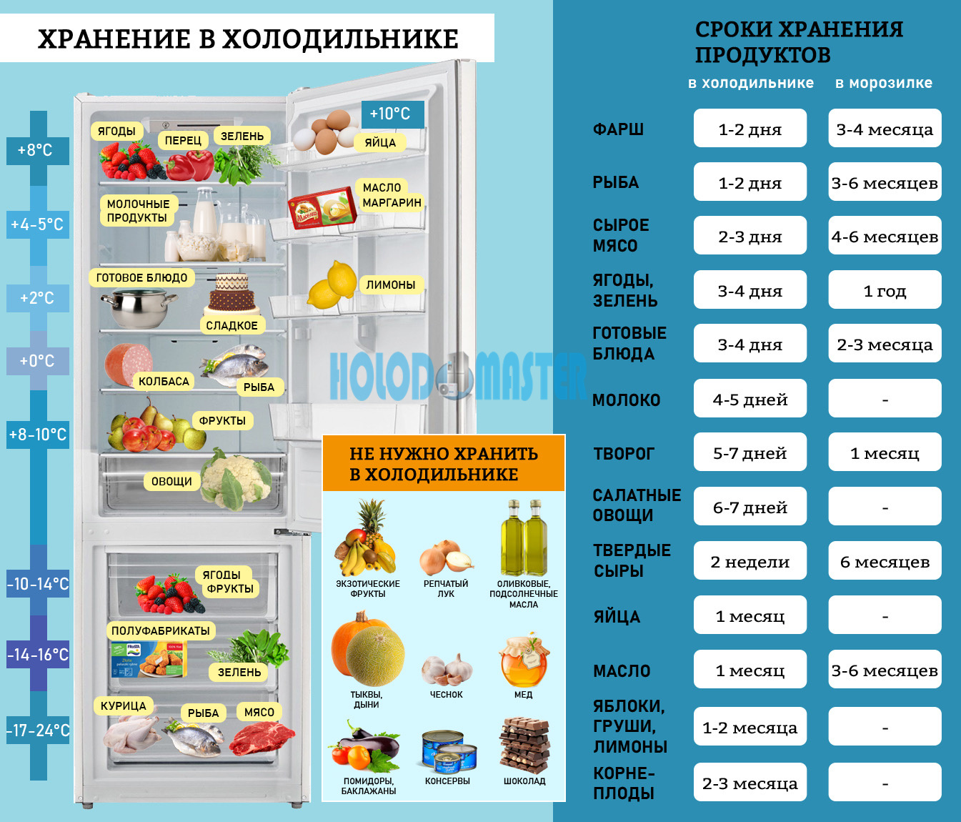 Какие фрукты можно хранить в холодильнике, а какие нет