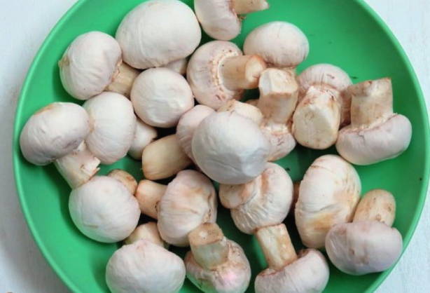 Каннеллони с грибами и креветками под пикантным соусом