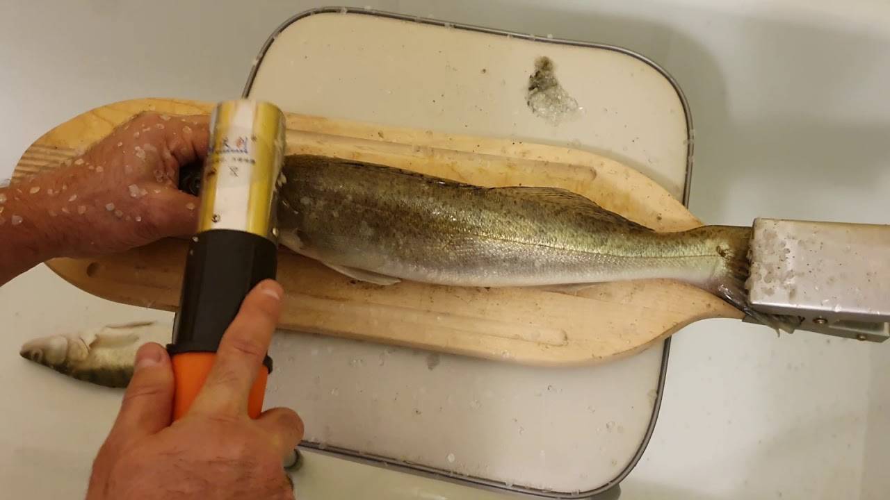 Как почистить рыбу от чешуи без ножа за 1 минуту