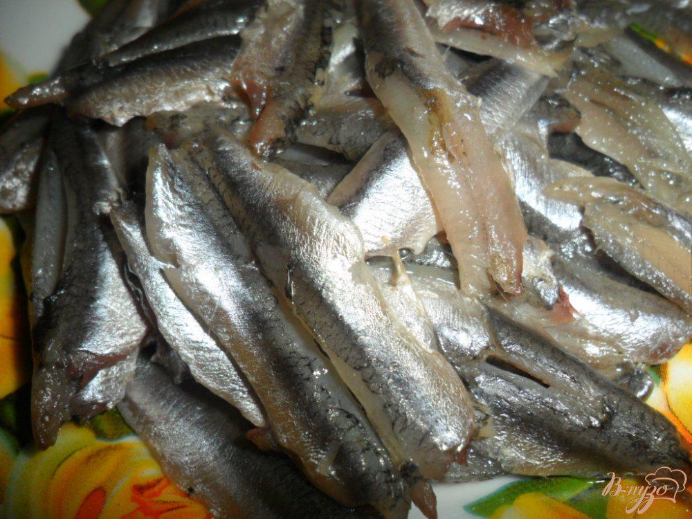 Анчоусы — что это за рыба и как ее едят