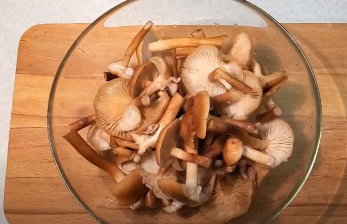 Икра грибная из свежих грибов