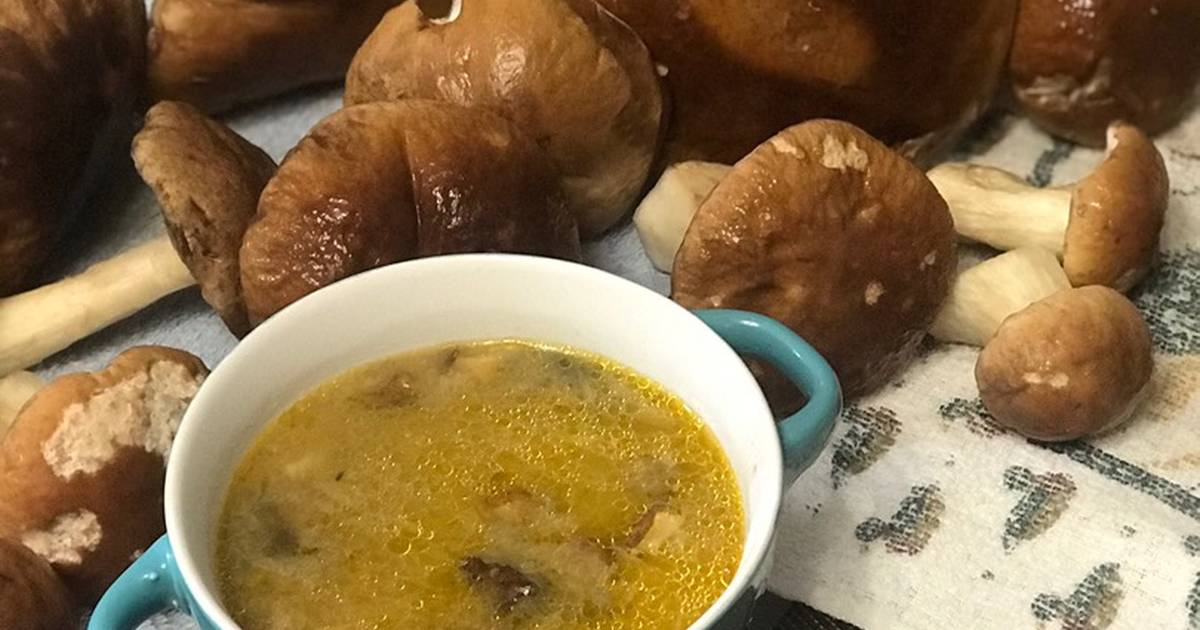 Грибной суп из сушеных грибов — топ-8 рецептов с фото