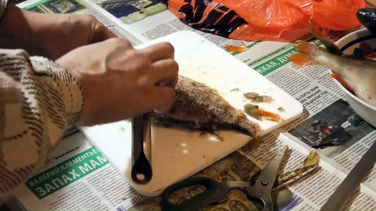 Проверенный лайфхак как без ножа почистить рыбу от чешуи
