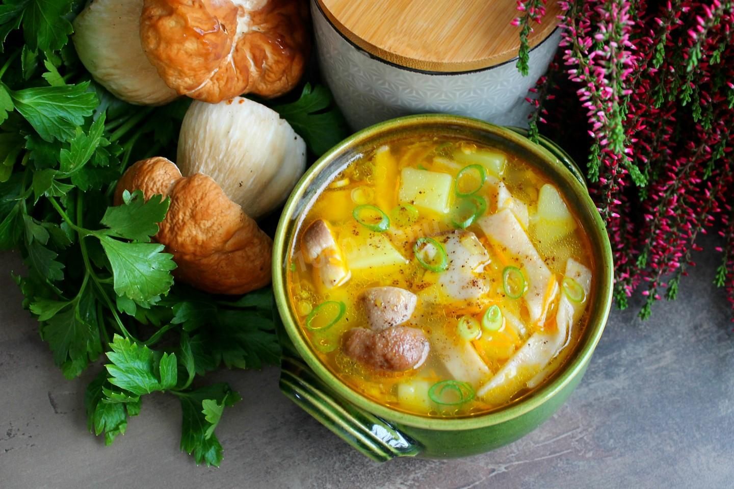 Супы с грибами — простые и вкусные рецепты