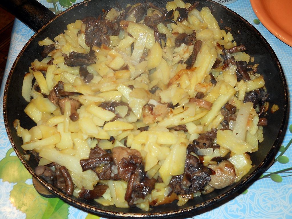 Популярные рецепты жареной картошки с грибами ⋆ готовим вкусно!