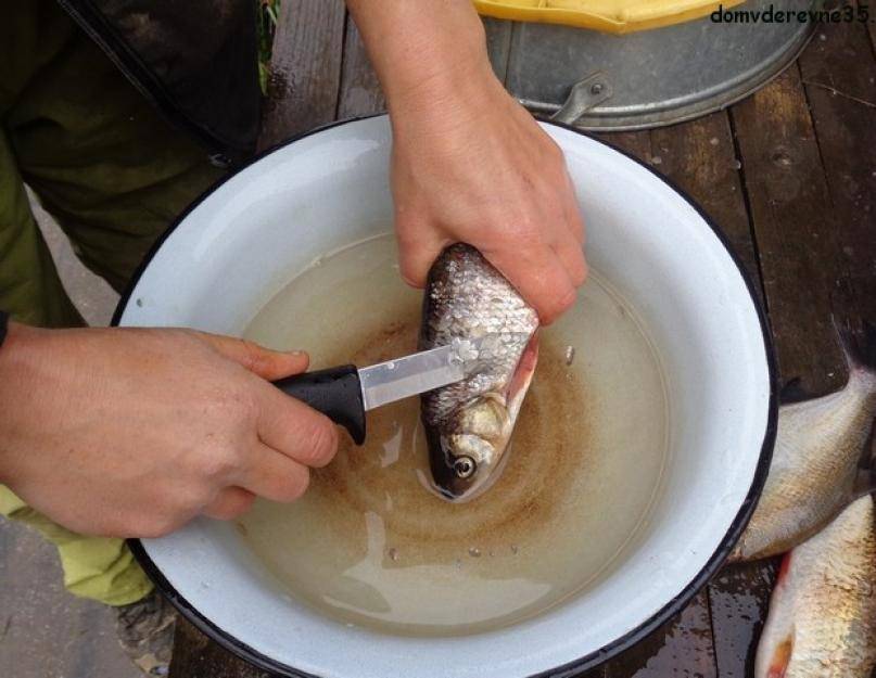 Популярные способы по очистке рыбы