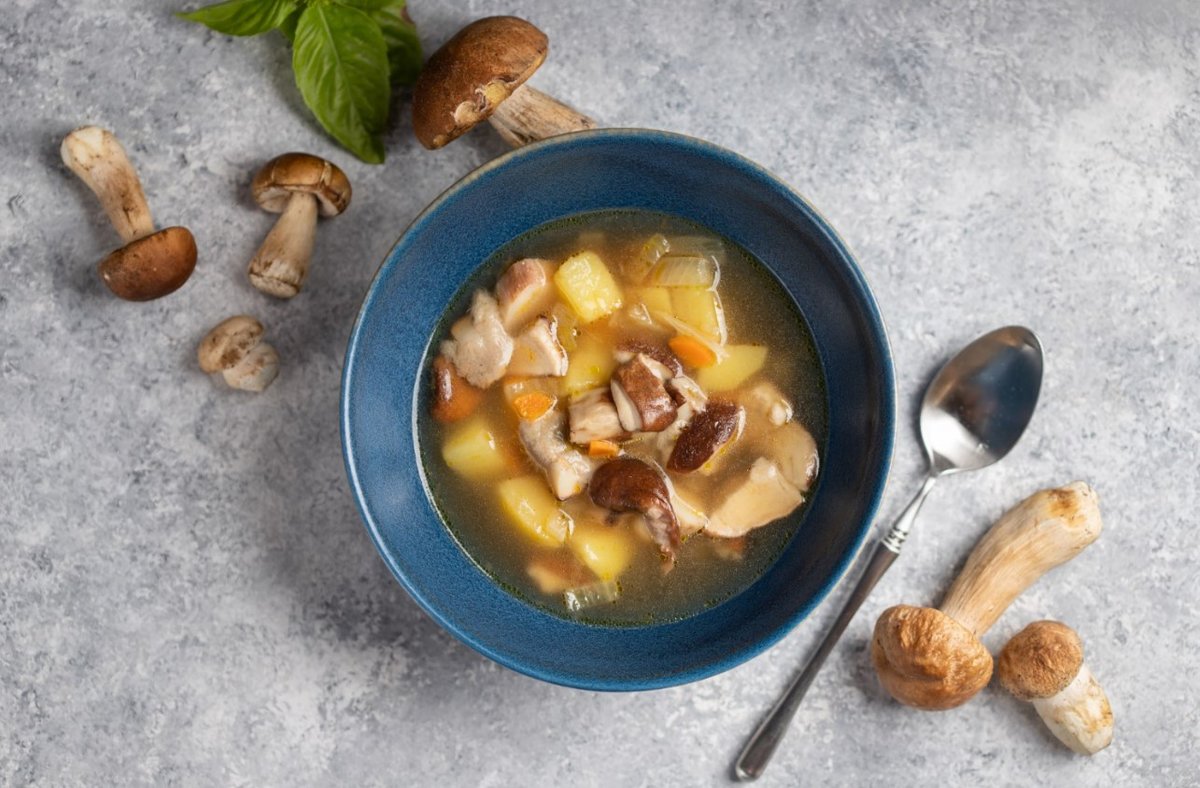 Сливочный суп с грибами – как приготовить, какие продукты использовать, правила эффектной подачи: рецепт с фото и видео