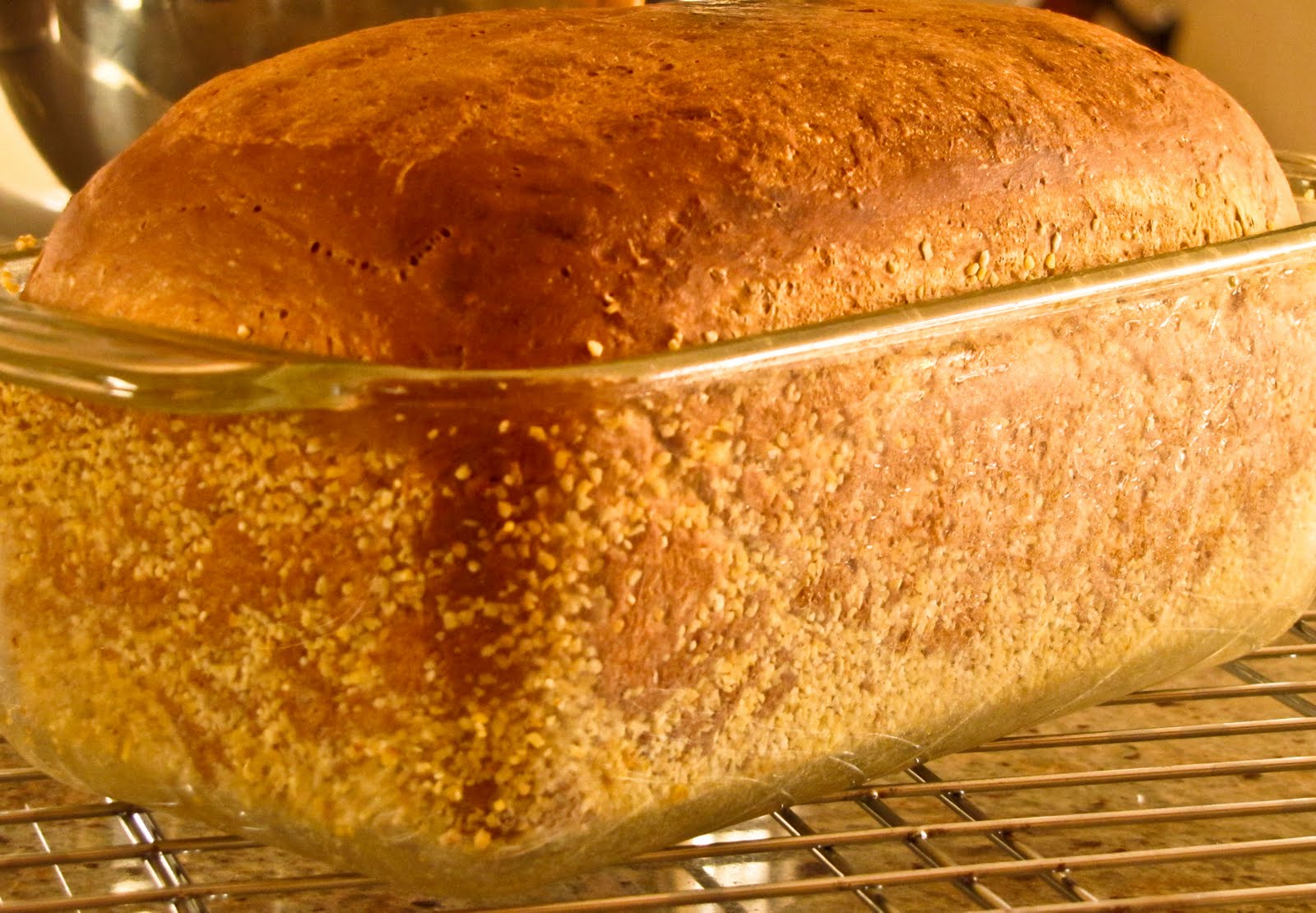 Пироги и запеканки из хлеба и сыра: 12 рецептов с фото — самый смак
