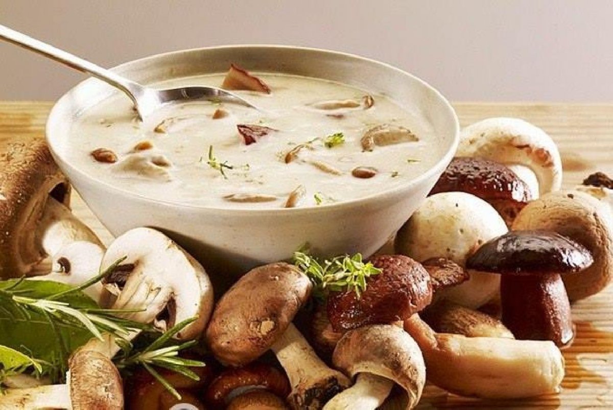 Как сварить грибной суп из свежих грибов? самые вкусные рецепты