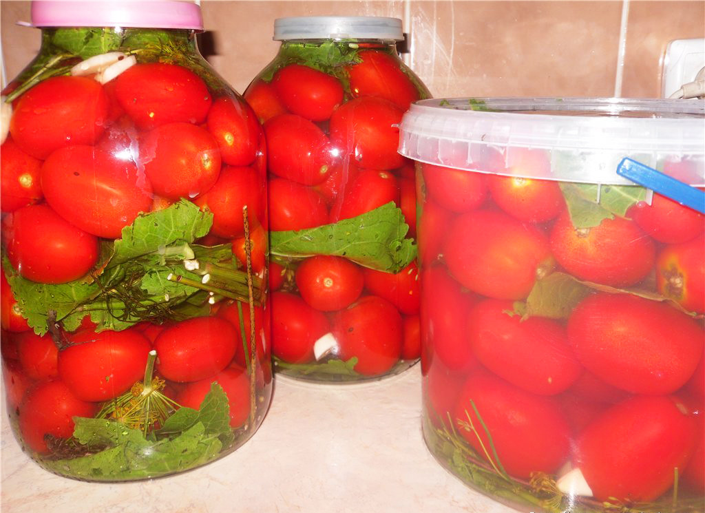Зеленые помидоры, фаршированные на зиму – золотые рецепты заготовок