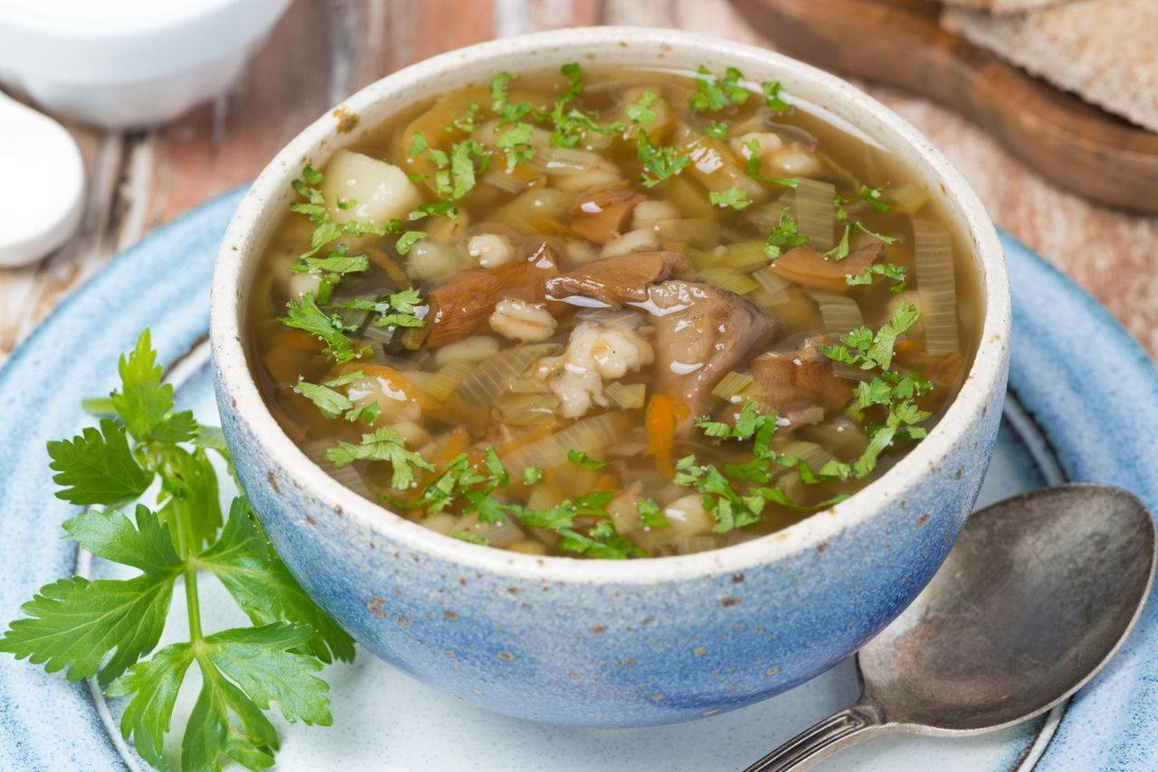 Грибной суп – 12 вкусных рецептов приготовления