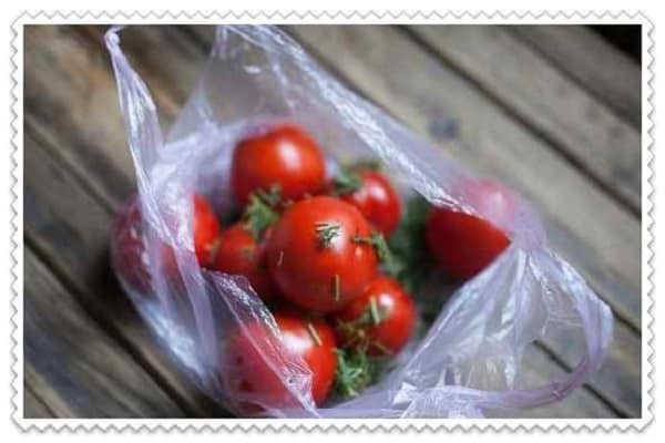 Малосольные огурцы и помидоры по-домашнему