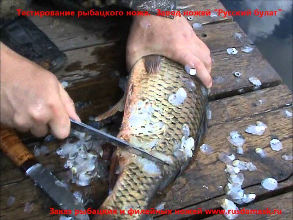 Лайфхак: как быстро, легко почистить рыбу от чешуи и не испачкать кухню